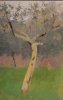 1907 - Albero